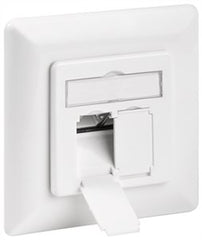 CAT 6A Wall Plate Flush Mounting